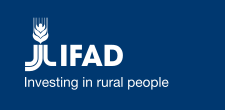 IFAD logo