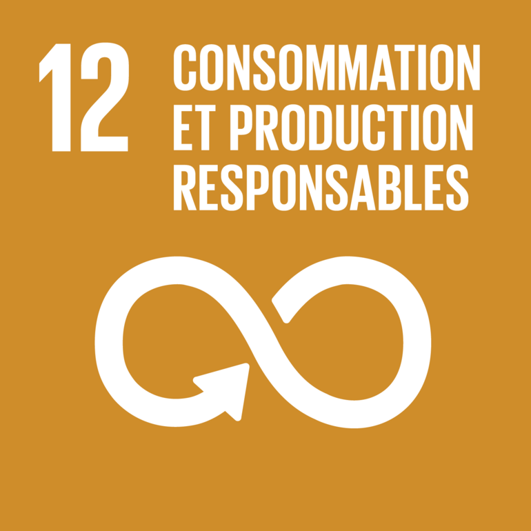 responsible consumption and production — UN Sustainable Development Goal