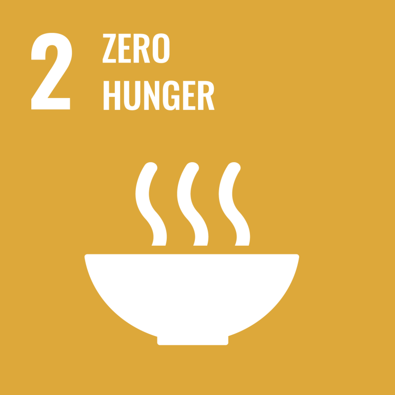 zero hunger — UN Sustainable Development Goal